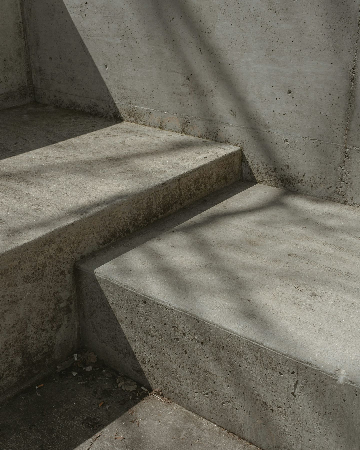Betonstufen mit Schatten von Ästen